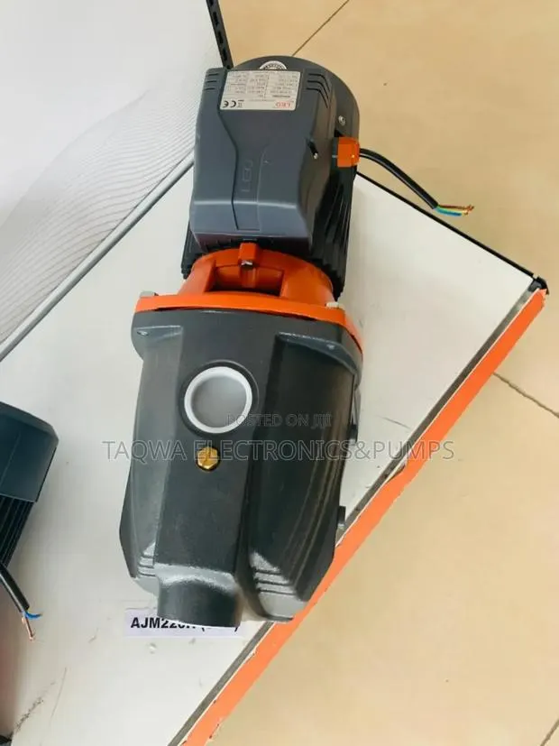 Cast Iron Leo 3hp Water Pump · Photo 1