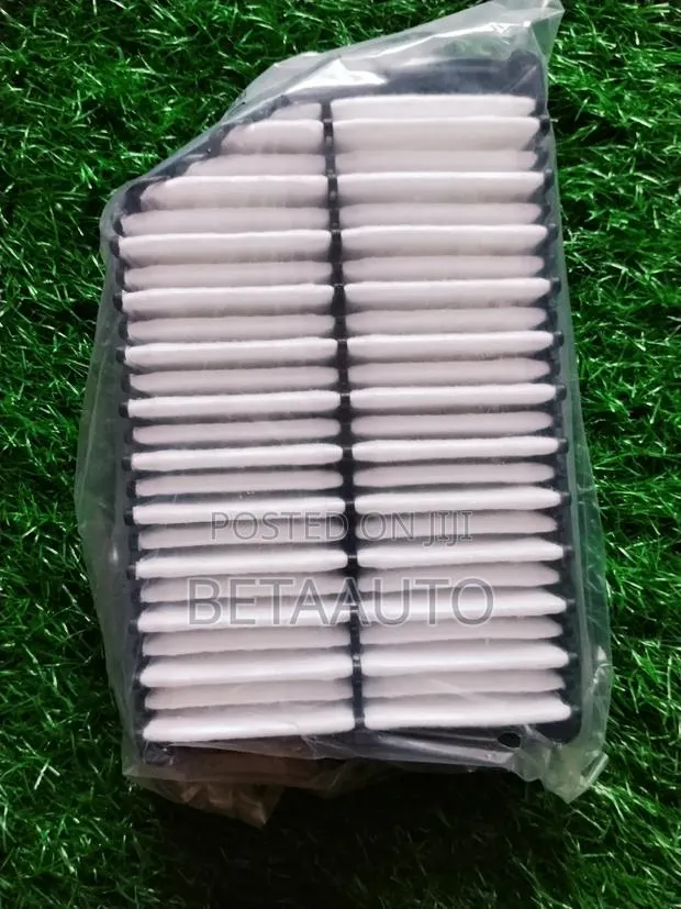 Elantra Air Filter · Photo 1