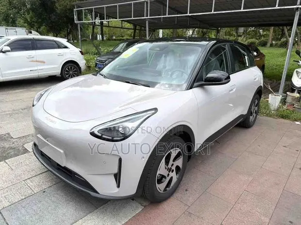 Geely Xingyuan 2026 Beige · Photo 1