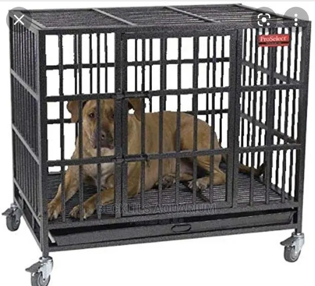 Metal Dog Cages · Photo 1