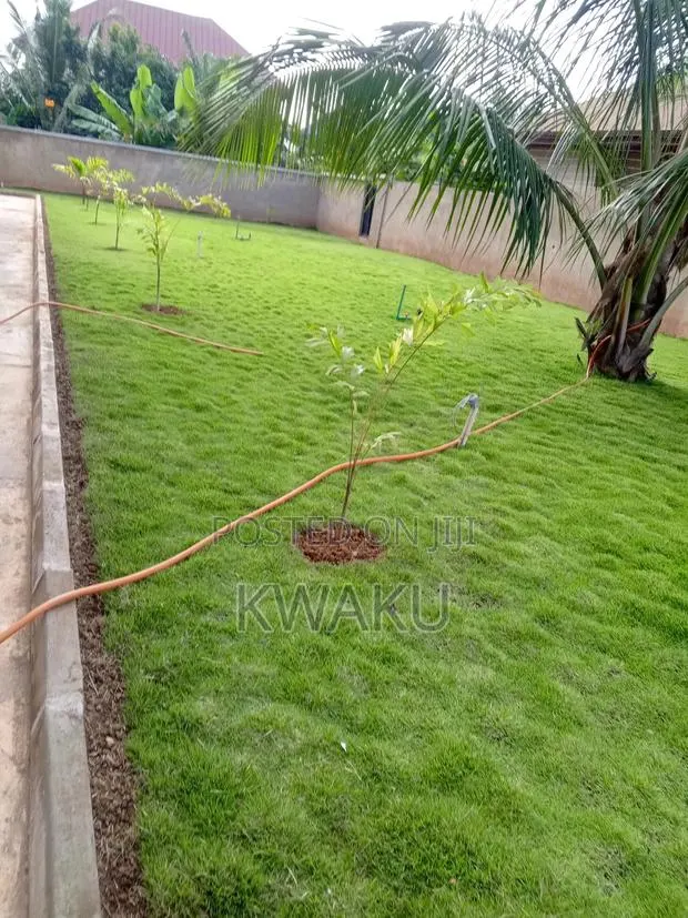 Landscape,Flowers and Green Grass for Sale, Garden Development. · Photo 1