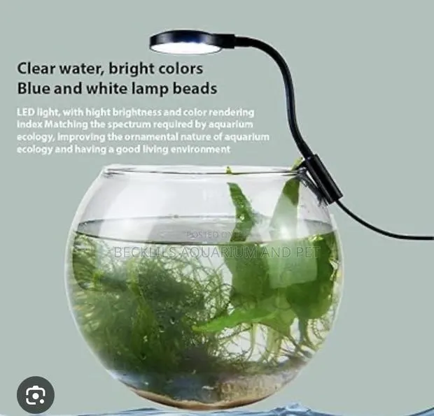 Aquarium Fish Bowl Light · Photo 1