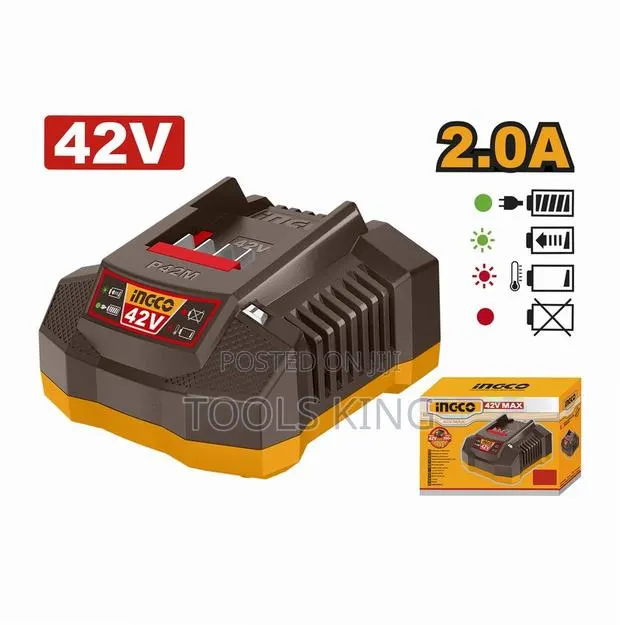 P42m Battery Charger - Fcli42021 · Photo 1