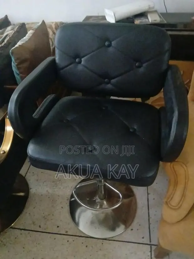 Salon Chair · Photo 1