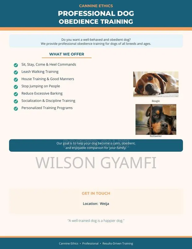 Professional Dog Obedience Training Services · Photo 1