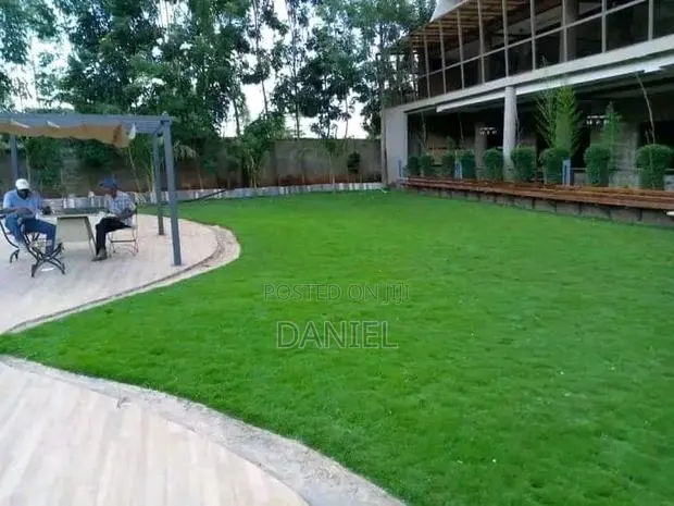 Lawn Maintenance · Photo 1