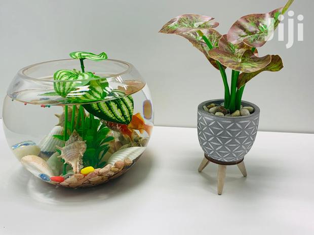 Fish Bowls · Photo 1