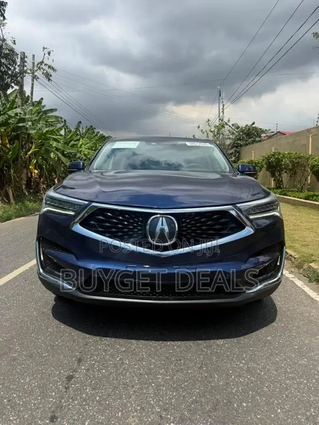 Acura RDX Advance Pkg AWD 2019 Blue · Photo 1