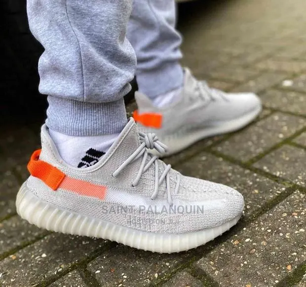 Yeezy Boost 350 · Photo 1