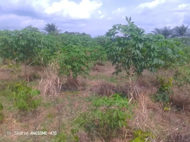 40 Plots of Land for Sale · Photo 1
