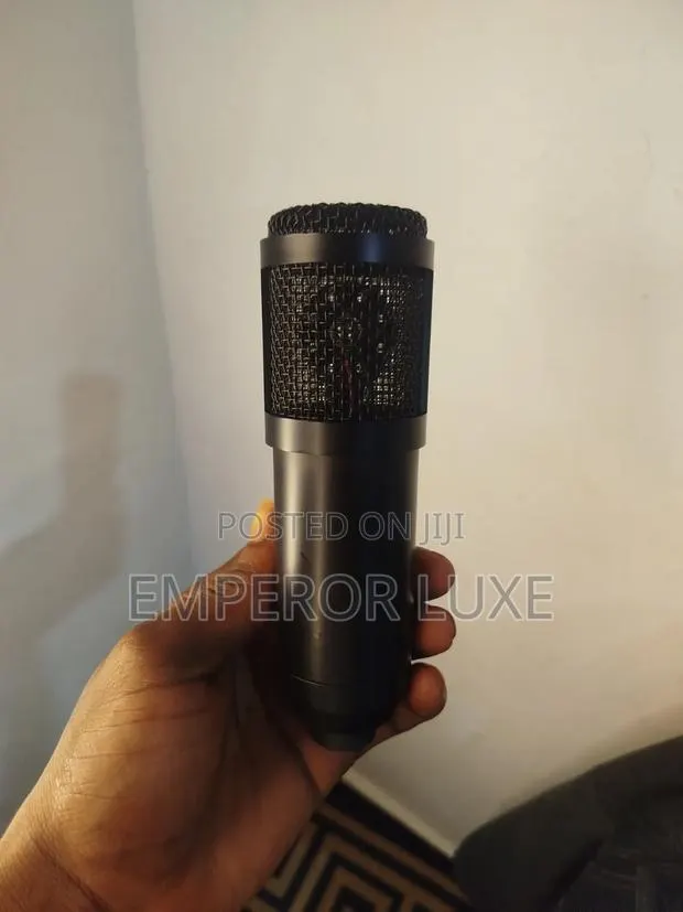 Professional Studio Condenser Microphone – Clear Sound Recording Mic · Photo 1