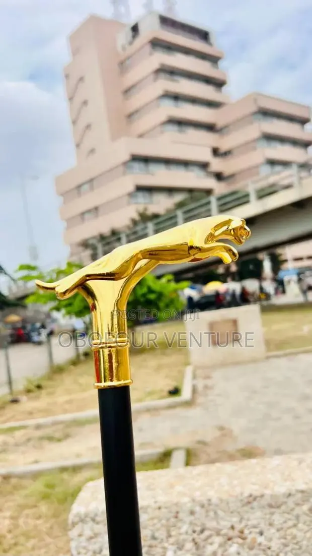 JAGUAR HEADED, Stylish Fashion Traditional Walking Stick · Photo 1