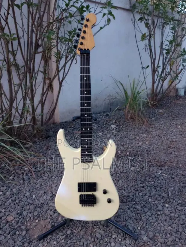 Heavily Modified or Customized Superstrat Guitar