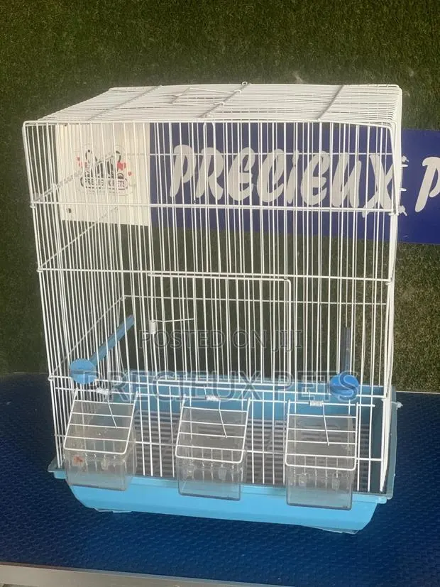 Parrot Cage Tag 002 · Photo 1
