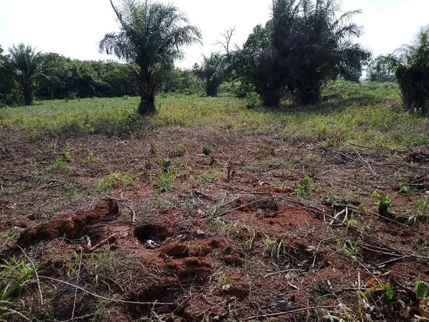 Land for Residence · Photo 1
