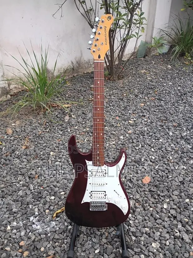 Kawasamy SME4 Professional Guitar · Photo 1