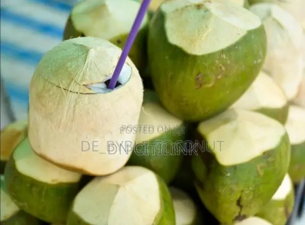 Coconut Retailer and Wholesale · Photo 1