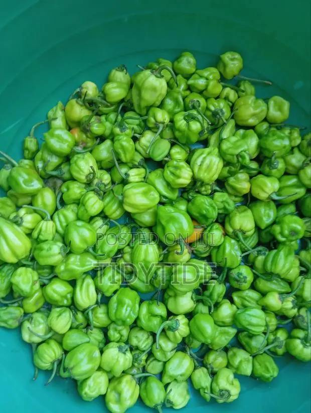 Habanero Fresh Pepper · Photo 1