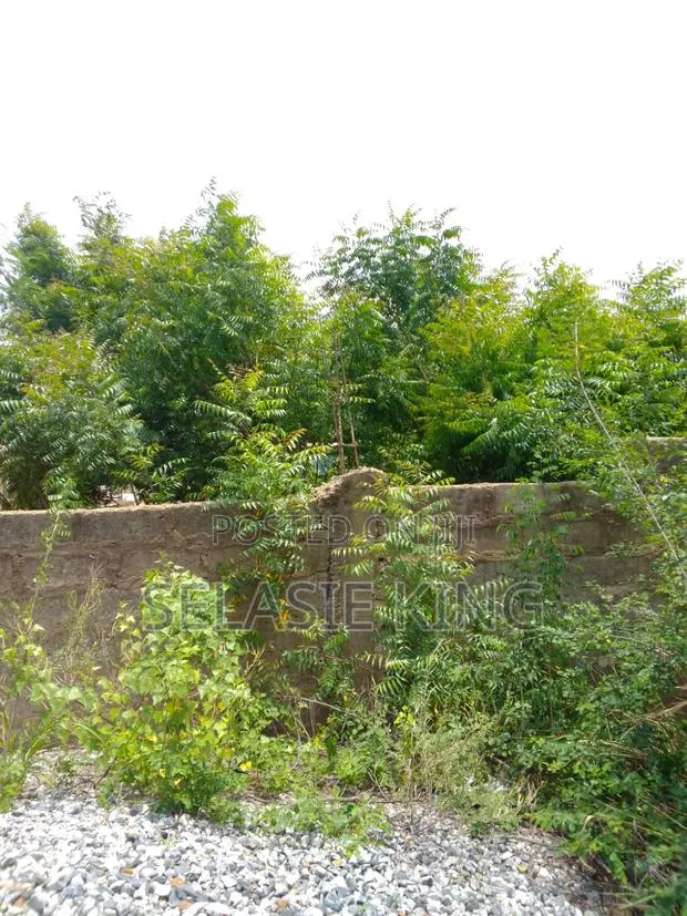 Plots of Land for Sale at Bawaleshie · Photo 1