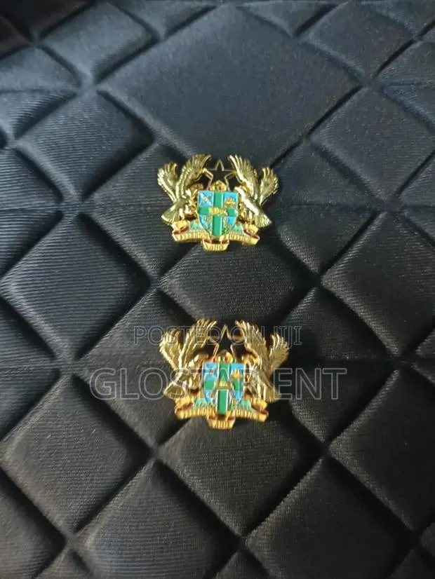 Coat of Arms/Lapel Pin · Photo 1