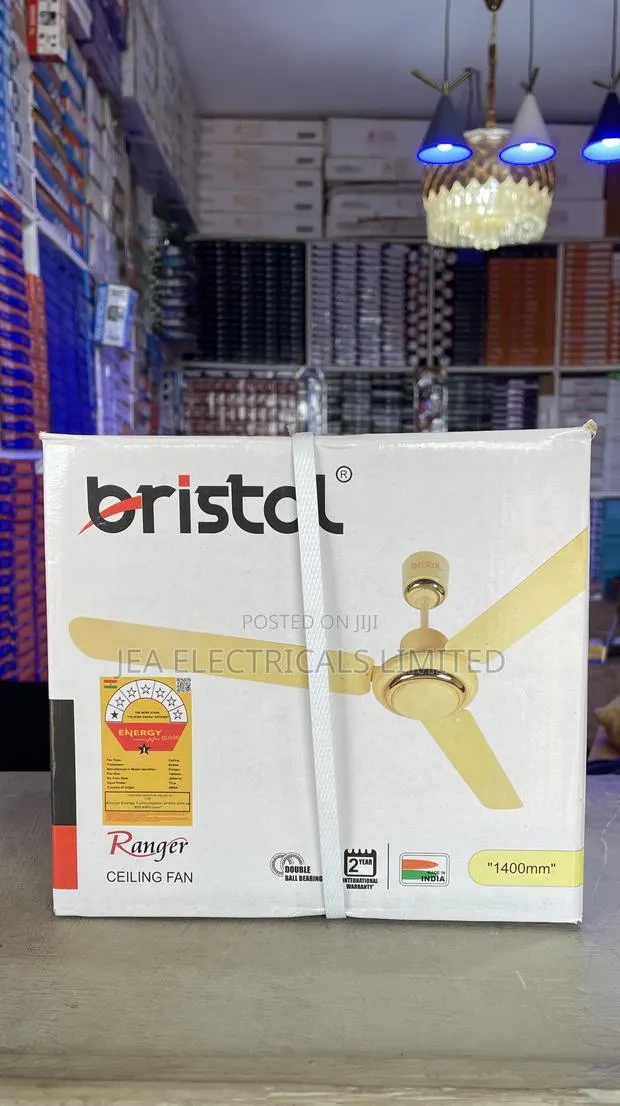 Original Bristol Ceiling Fan · Photo 1