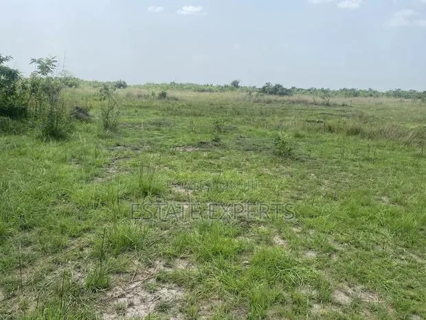 Titled Land Located at Ayikuma · Photo 1