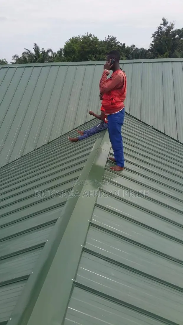 Roof It Right. Roof It Once. Choose Dickanga Africa Pride. · Photo 1