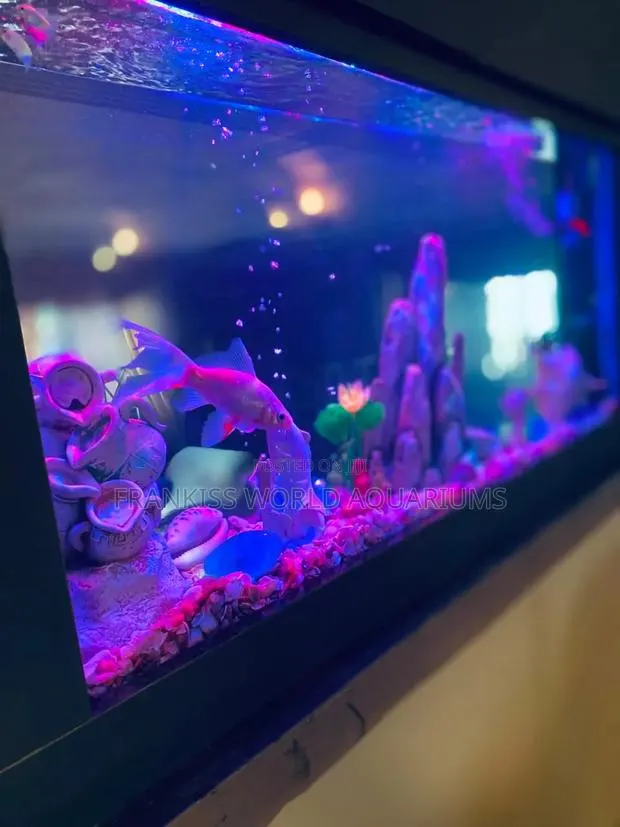 Double View Wall Unit Aquarium · Photo 2