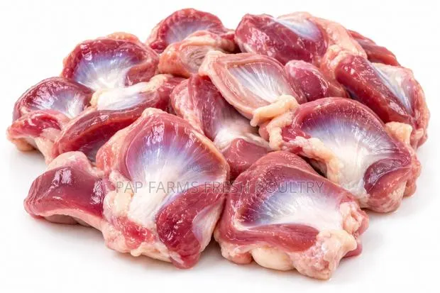 Freshly Processed Chicken Gizzard · Photo 1