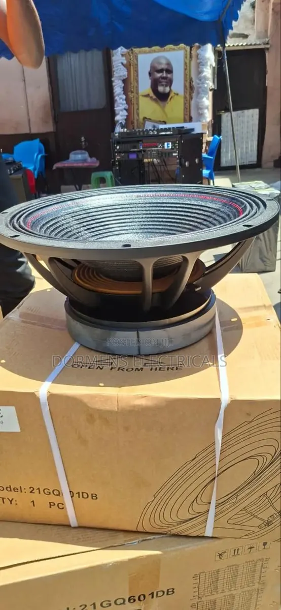 Jac 21 Inches Naked Speaker · Photo 1
