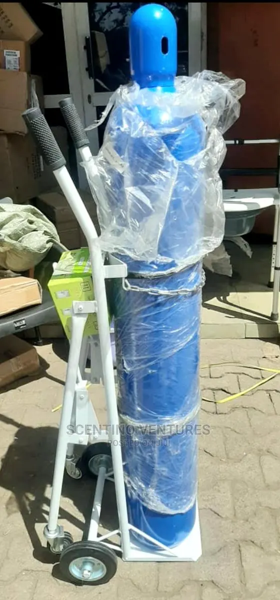 Oxygen Cylinder 40ltrs With Flow Meter and Trolley · Photo 1