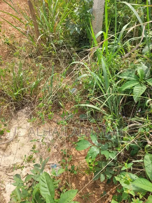 Half Plot for Sale at Santa'si Darko · Photo 1
