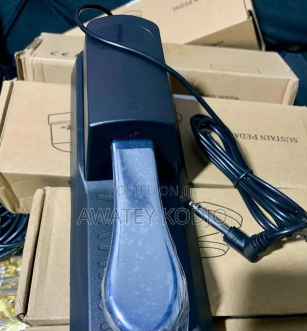 Sustain Pedal · Photo 1
