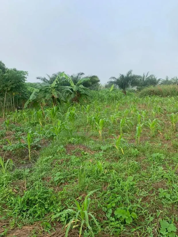 Car for Land Deal Available Now · Photo 1