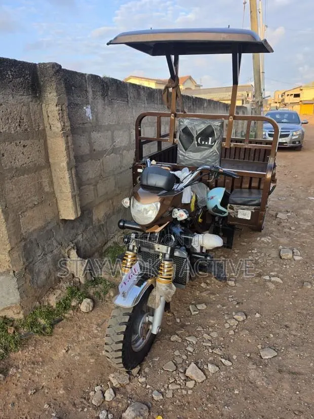 Tricycle 2026 Brown · Photo 1