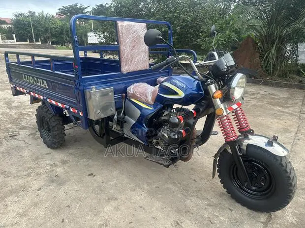 Luojia Cargo Tricycle 2025 Blue · Photo 1