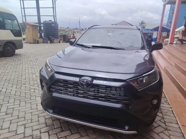 Toyota RAV4 2019 Gray · Photo 1