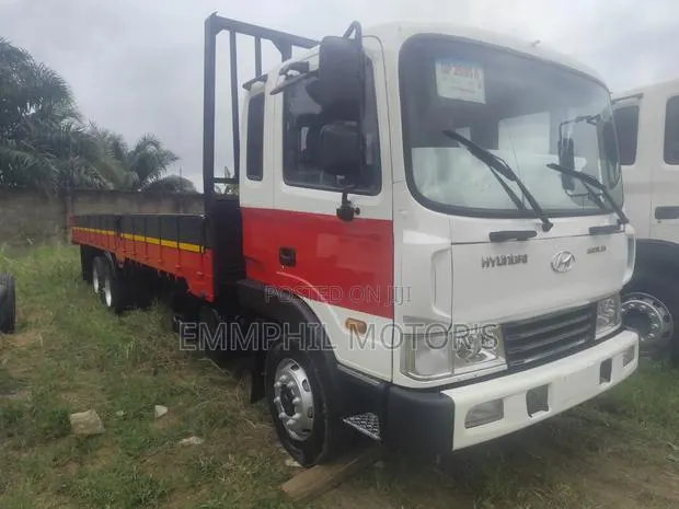 Hyundai Gold. Double Axle. New Arrivals · Photo 1