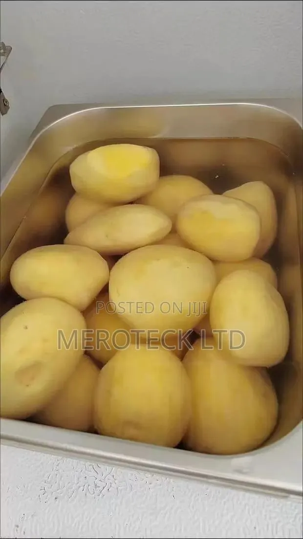 Multipurpose Stainless Steel Commercial Ginger and Potatoes Peeler · Photo 4
