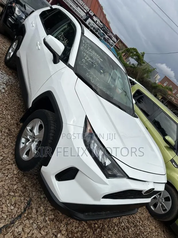 Toyota RAV4 LE AWD 2019 White · Photo 1