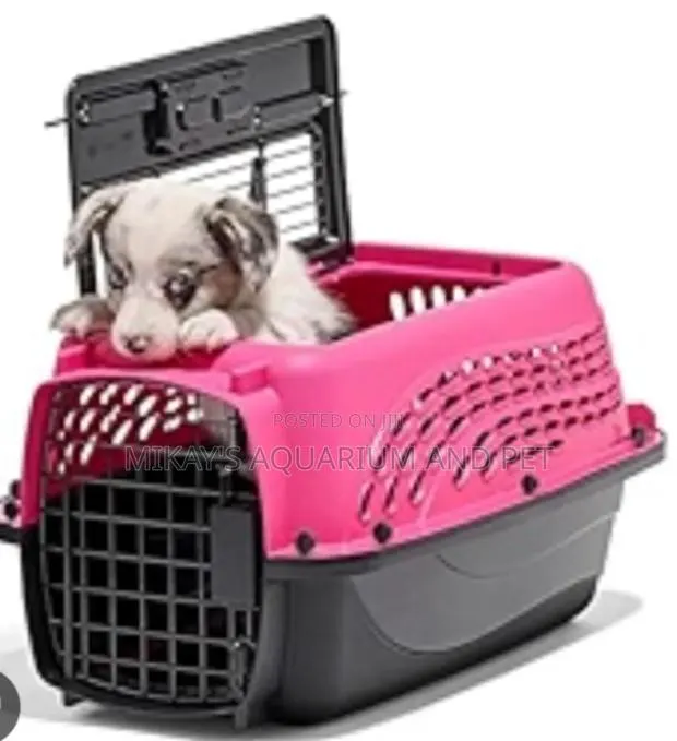 Medium Plastic Dog and Cat Traveller · Photo 1