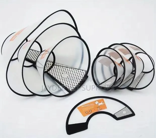 Elizabethan Collar/Cone · Photo 1