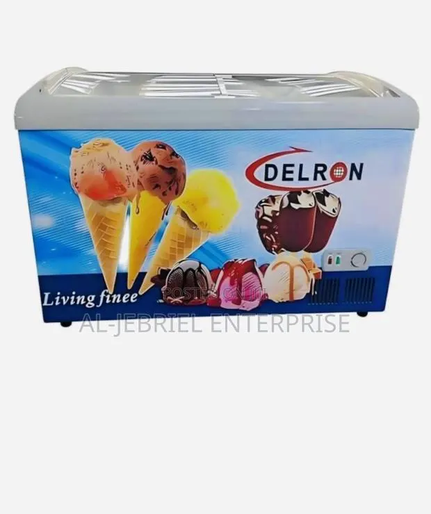 Delron Display Freezer 318l · Photo 1