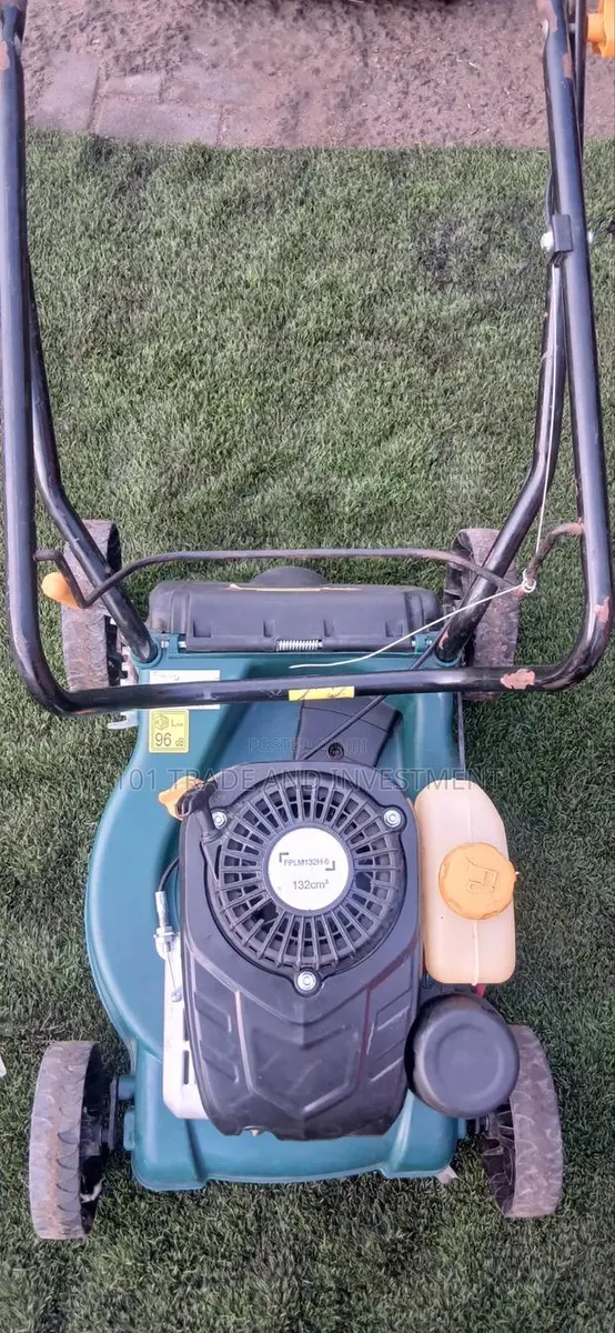 Petrol Lawn Mower · Photo 1