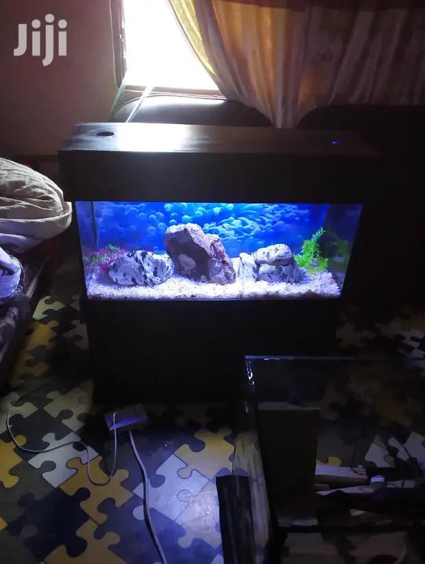 Aquarium With Fish · Photo 1