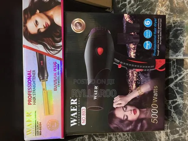 Professional Hair Dryer and Hotcomb · Photo 1