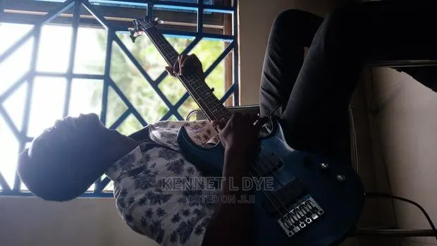 Instrumentalist Available for Gigs · Photo 1