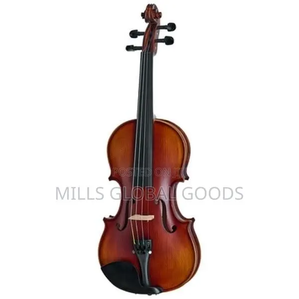 Classic Violin · Photo 1