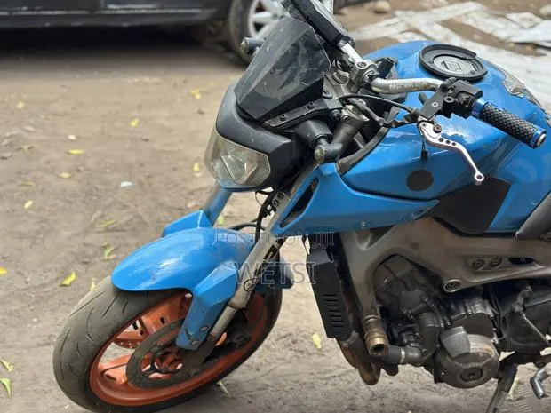 Yamaha MT-09 2009 Blue · Photo 1
