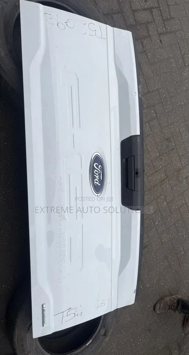 2021-2025 Ford F-150 Lightning Rear Tailgate Assembly Oxford White OEM · Photo 1